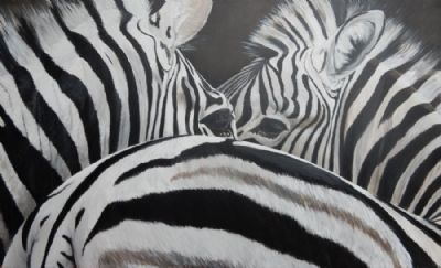 ZEBRA LOVE